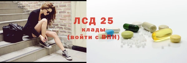 спайс Покачи