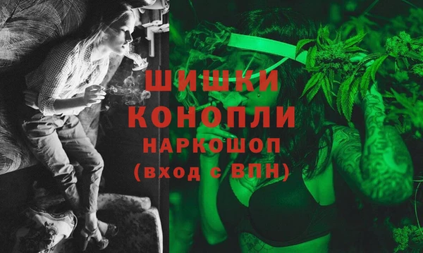 спайс Покачи