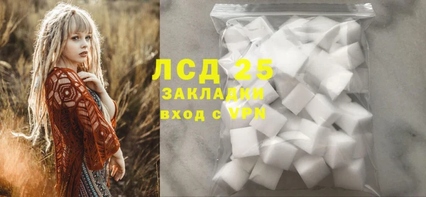 спайс Покачи