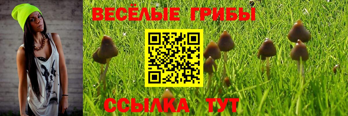 Псилоцибиновые грибы мицелий  Галлюциногенные грибы Psilocybine cubensis  Лениногорск  Вход с VPN 
